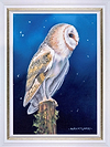 Farsighted II (Framed)