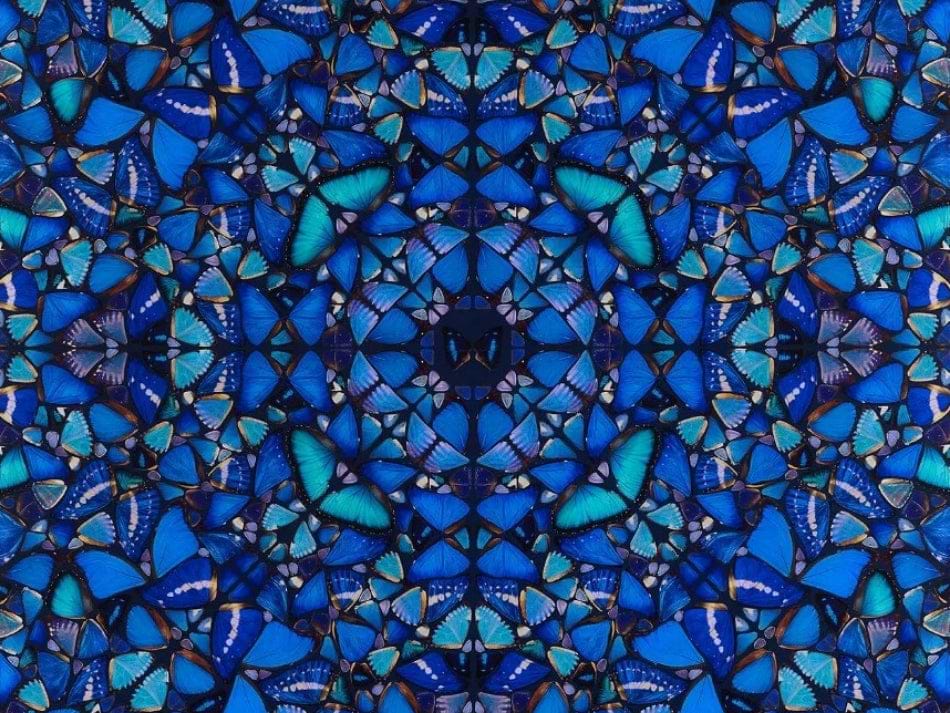 Art as an Asset Exhibition