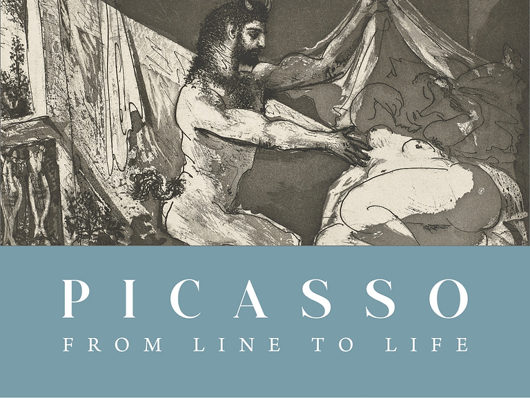 Picasso - From Line to Life