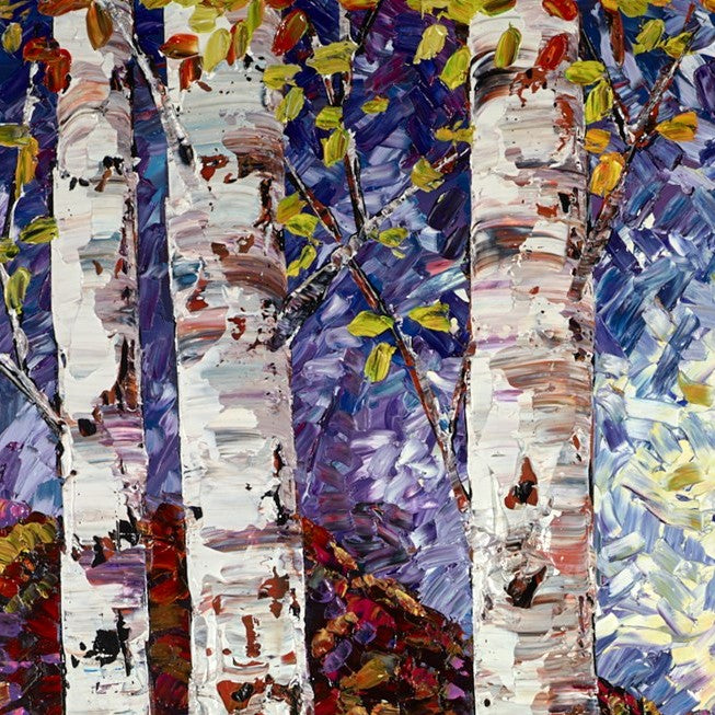 Silver Birch VI