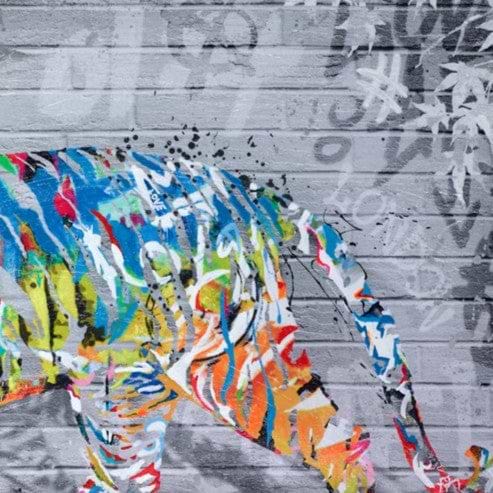 Colourful Tiger