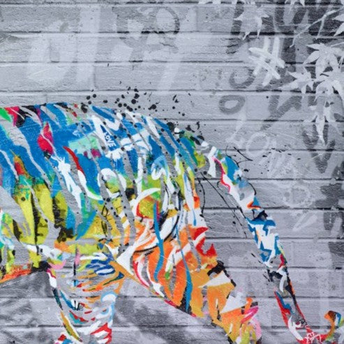 Colourful Tiger