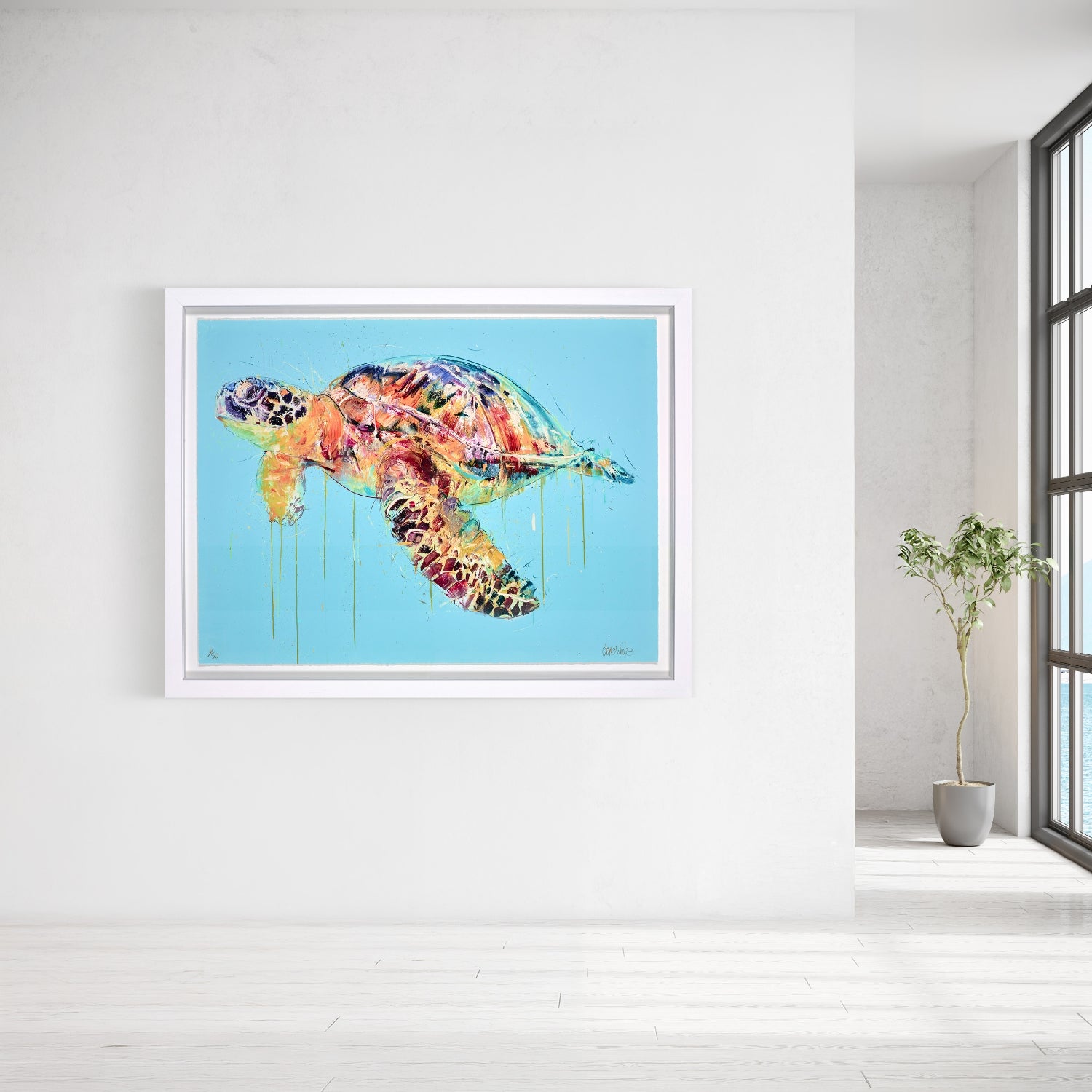 Sea Turtle