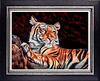 Bengal Beauty (Framed)