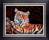 Bengal Beauty (Framed)