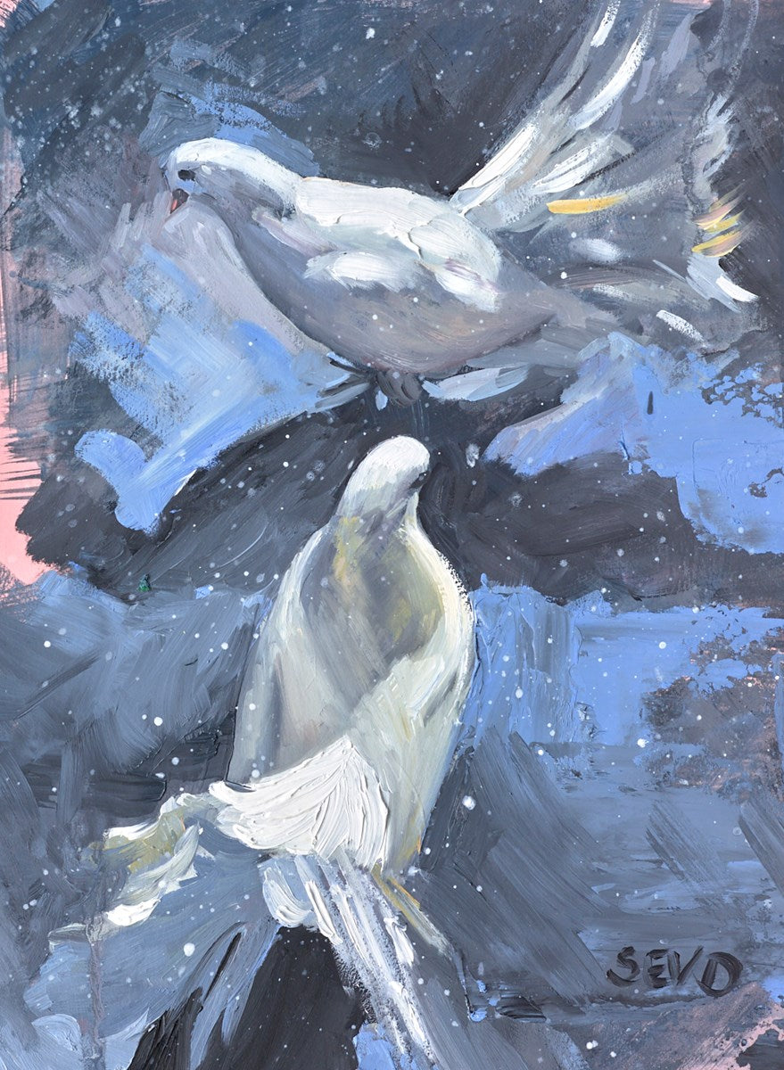 Dove Duet