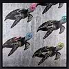 Colourful Turtles (Framed)