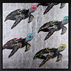 Colourful Turtles (Framed)