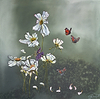Wild Cosmos