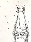 Southern Champagne