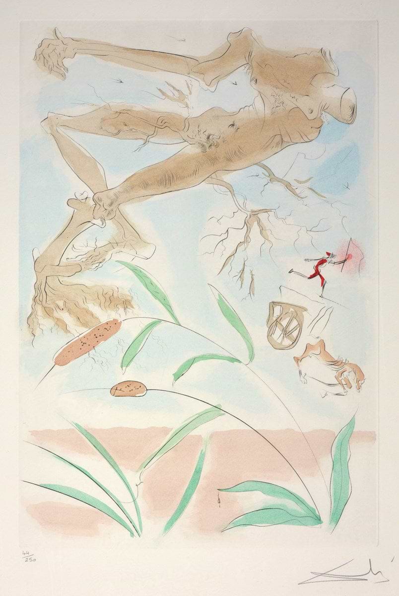 La Chêne Et Roseau