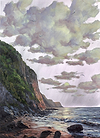 Untamed Coast