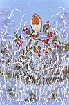 Christmas Robin