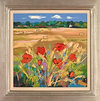 Poppies and Haybales, Preston Mill