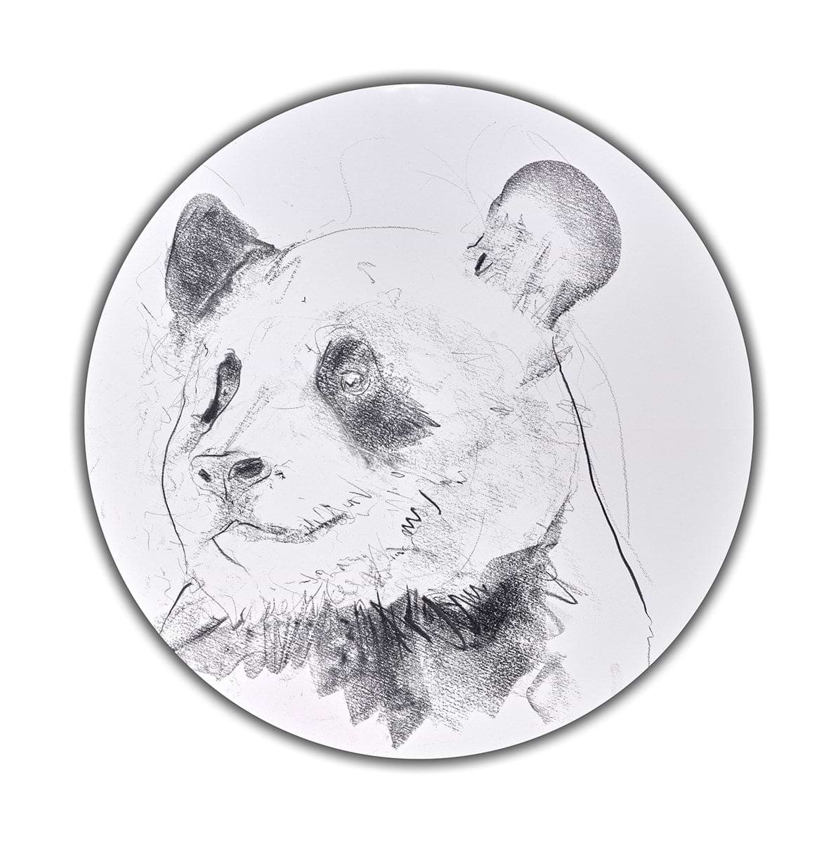 - function review worksheet math tutorial Images... Giant Panda Study III | Dave White – Clarendon Fine Art