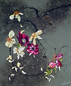 Flower Dreamers