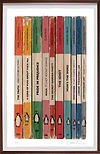 The Truth and Other Fiction (Framed)