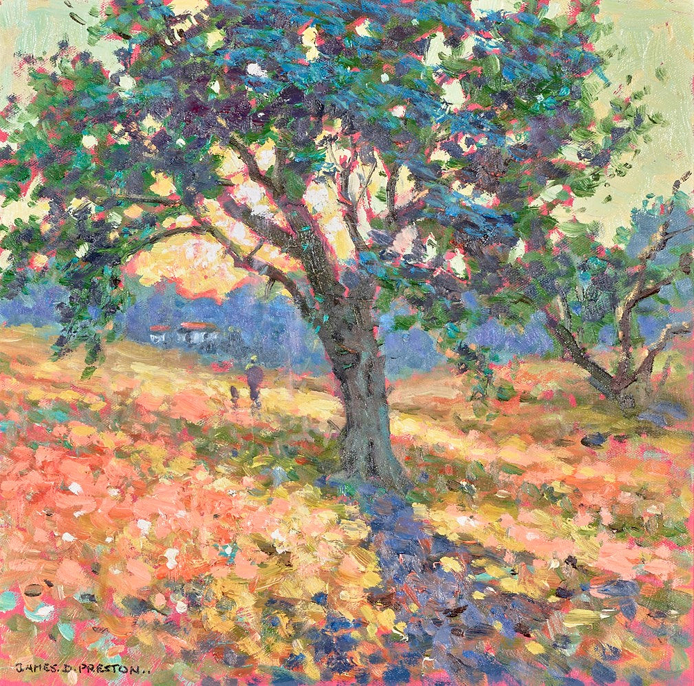 Olive Tree | James Preston - Clarendon Fine Art