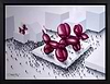 Helium Hounds (Framed)