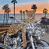Ride into the Sunset