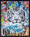 Carpe Diem