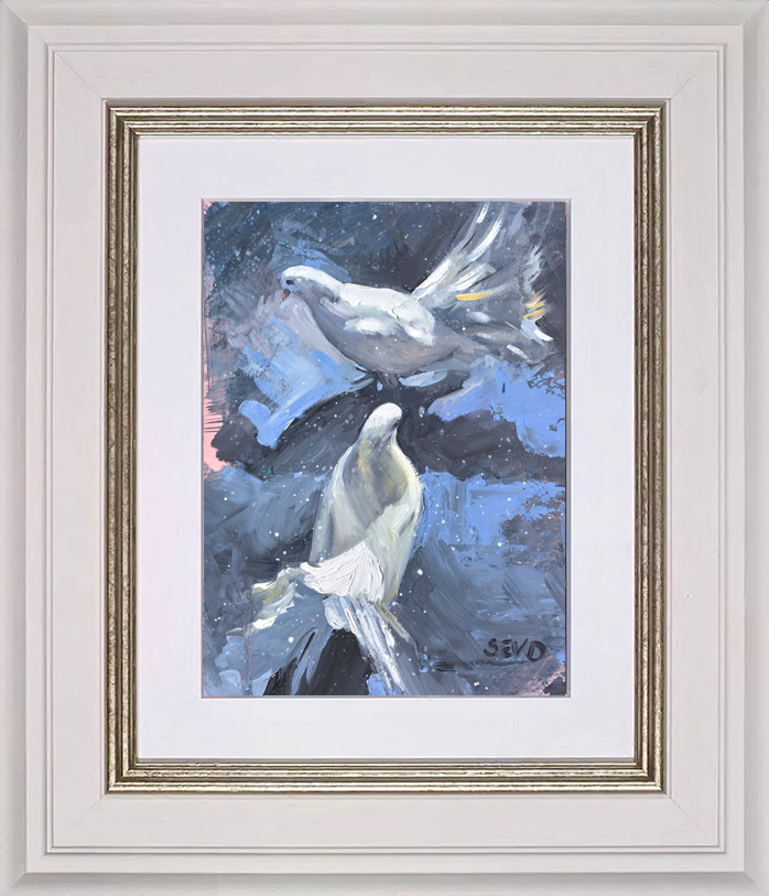 Dove Duet