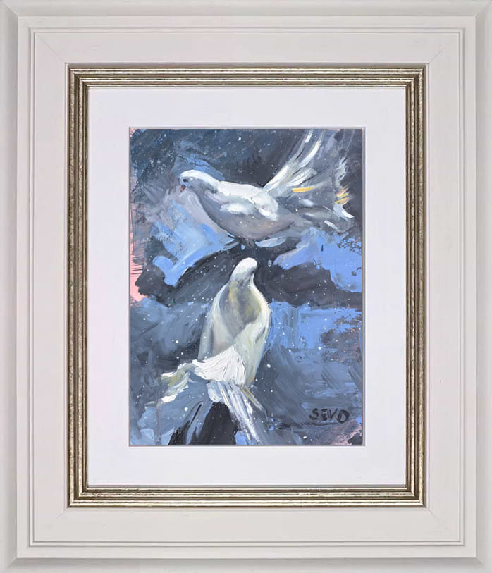 Dove Duet