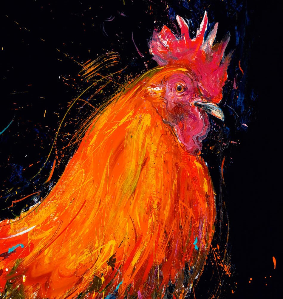 Rooster