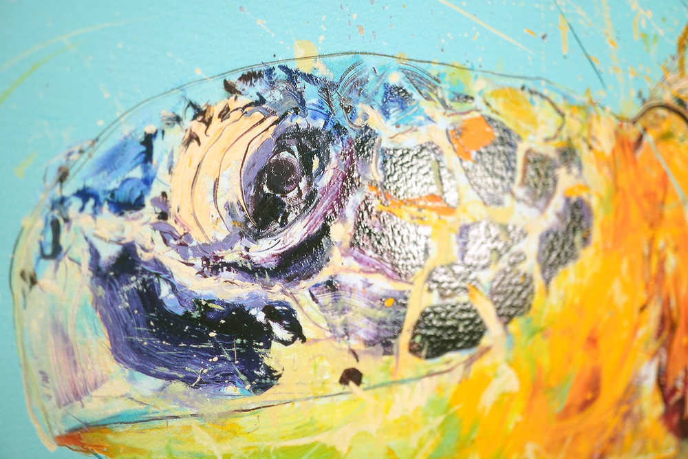 Sea Turtle