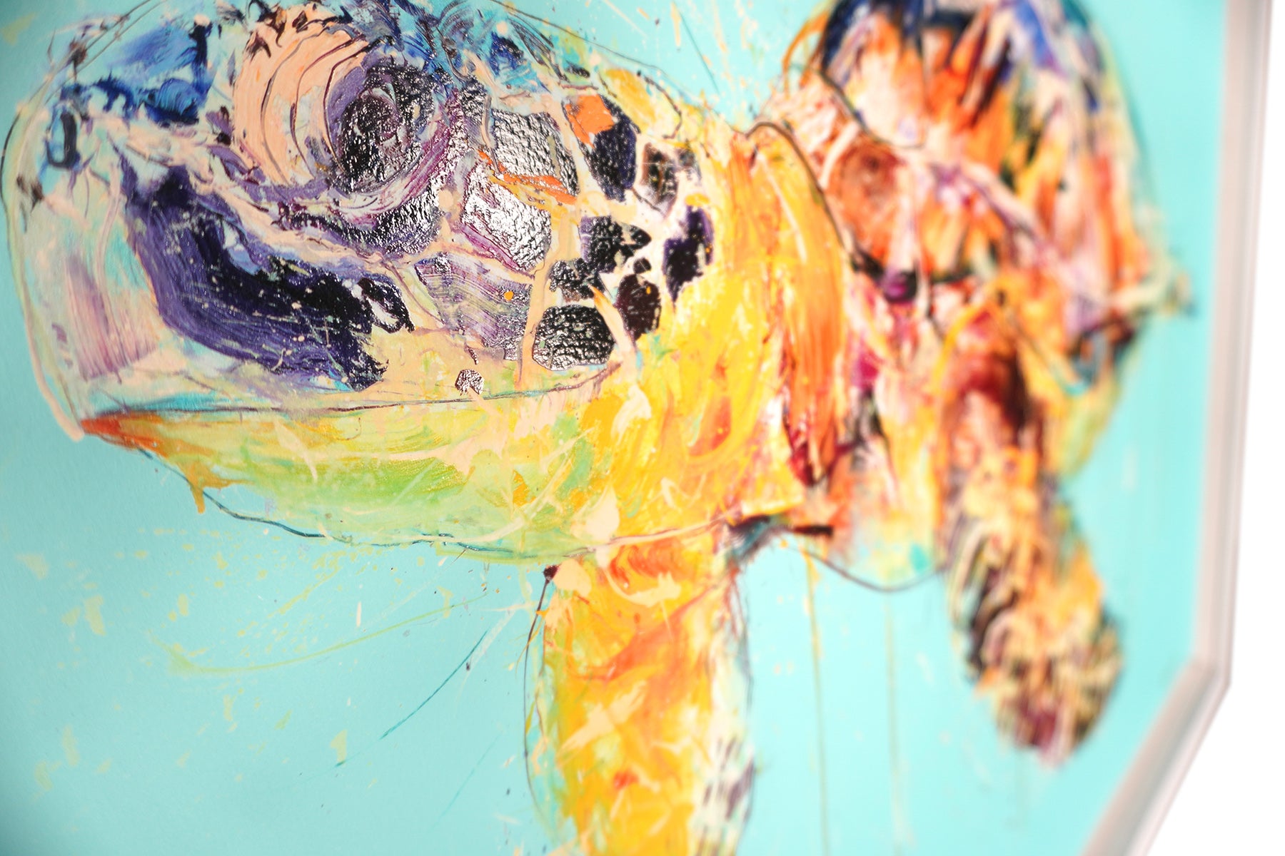 Sea Turtle