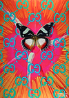 Soul-O-Fly