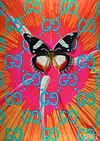 Soul-O-Fly