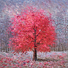 Blossom Tree Forest