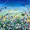 Wild Daisies