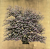 A Tree In Bloom III