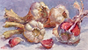 Garlic V