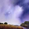 Marshland Water