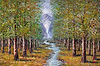 A Cool Forest Stream