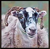 One of the Flock (Framed)