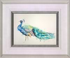 Peacock Beauty (Framed)
