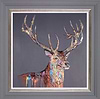Velvet Morning (Framed)