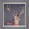 Velvet Morning (Framed)