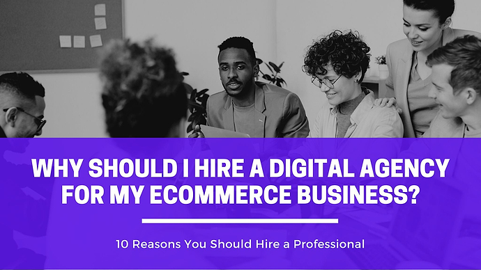 Why Should I Hire a Digital  Agency for my eCommerce Business?