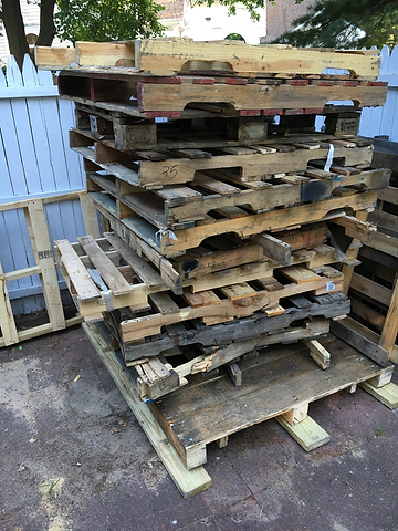 Pallets ready for harvesting