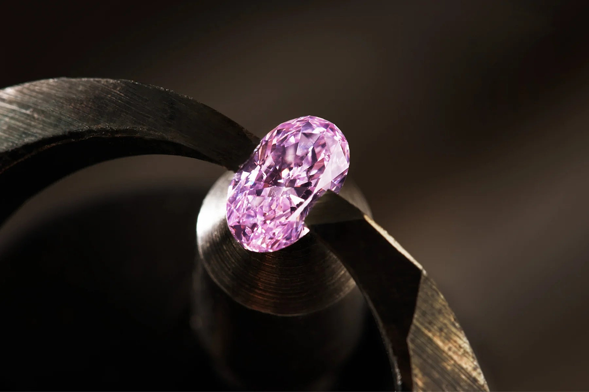 Loose Argyle pink diamonds, GIA graded, at Paul Bram