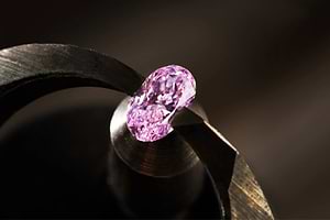 Loose Argyle Pink Diamonds