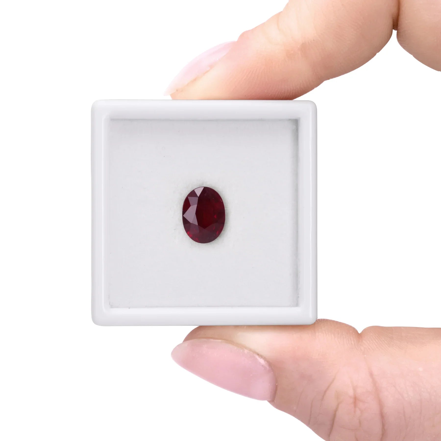 1.61ct - Oval Burmese Ruby Loose Gemstone | Paul Bram