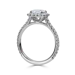 Constellation - Asscher