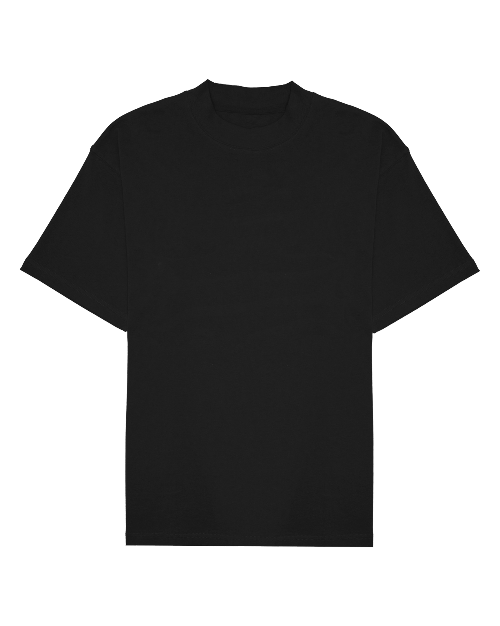 Ashluxe Logo Blank High neck T-shirt Black