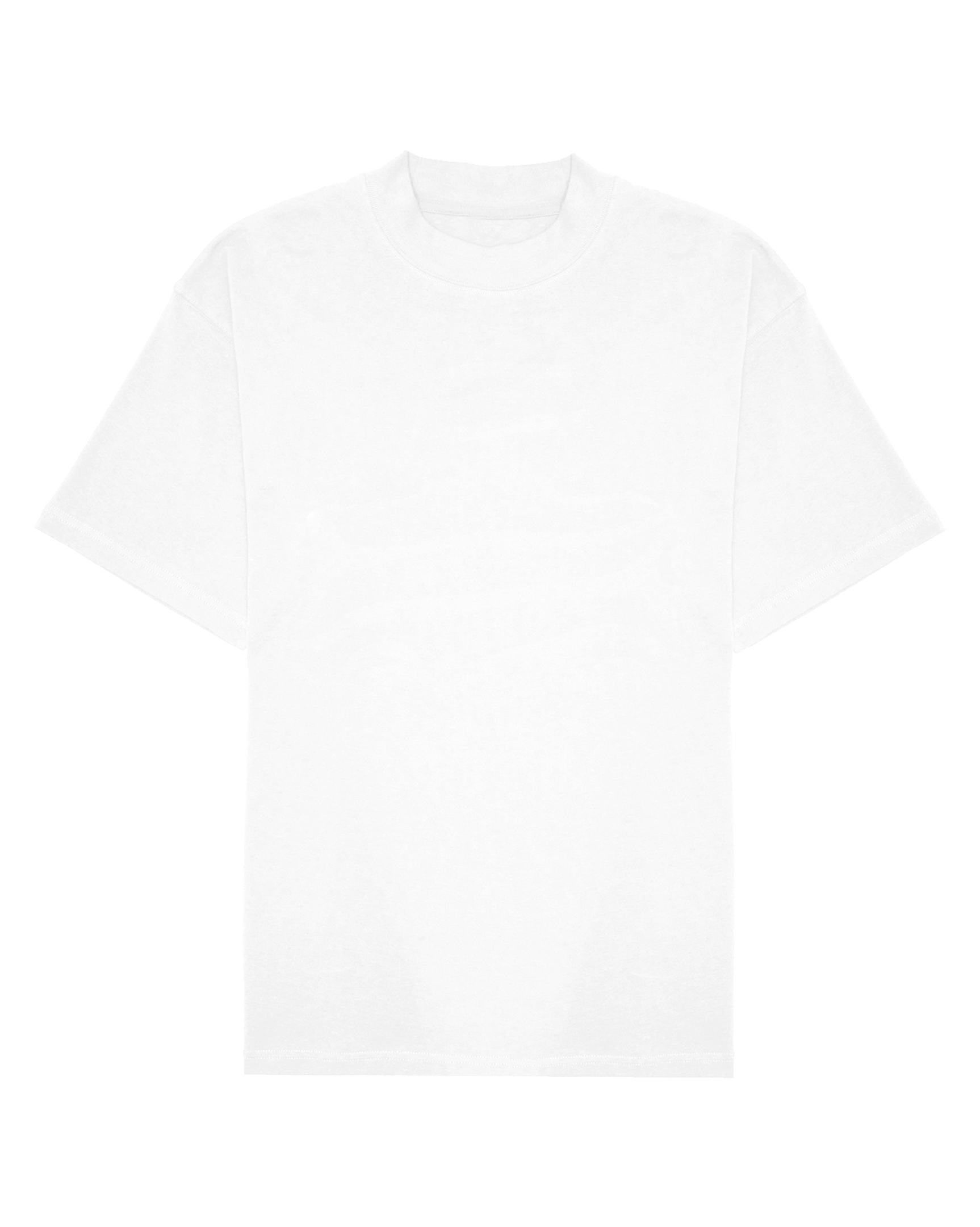 Ashluxe Logo Blank High neck T-shirt White